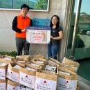 한국전력공사 단양지사 이미지