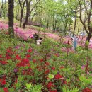 고강선사유적공원 이미지