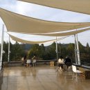 라프커피(LLAF COFFEE) 이미지