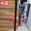 마상로126번길 네이버블로그