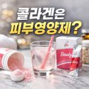 몸의형태 | 피부만? 콜라겐은 ‘몸의 뼈대’ 였다ㅣ피트라인 뷰티(내돈내산)후기