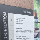 중문올레 | 제주도 서귀포 월드컵경기장 올레시장 중문 근처 소아과 바움 소아청소년과의원 방문후기