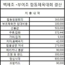 부여초 58회,백제초13회 합동체육대회 결산 이미지