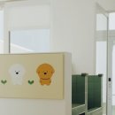 (주)스타약품 이미지