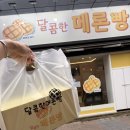 달콤한메론빵 | 대구 빵지순례 후기 달콤한 메론빵 대구 동성로 디저트 추천