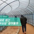 [하루만보 하루천자]올해 새로 생긴 '어싱길' 걸어볼까 이미지