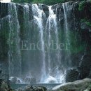 천지연 폭포 이미지