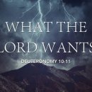 Verse of the day and prayer_260903 이미지
