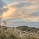 황매산 억새축제 이미지