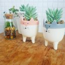 세도면화수리보건진료소 | 논산지원 경매3계 2024 타경 22913 (5) [임야]