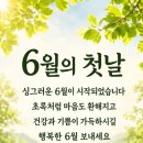 조음생(造蔭生) 이미지