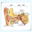 외이도염 원인 외이도염 통증 이어폰 보청기 외이도염 이미지