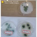 평제한의원 이미지