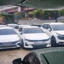 지지렌트카 이미지