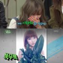 꽃;들때 엑스포츠뉴스