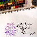 수채화캘리그라피 이미지