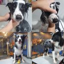 멍스바스 이미지