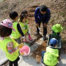 깨금발어린이집 이미지