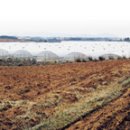 건향농장 이미지