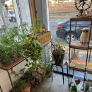 국채보상로152길 이미지