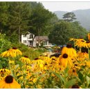 풀하우스펜션 이미지