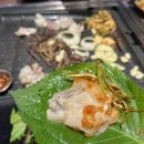 국가대패 이미지