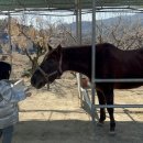 갈밭농장 이미지