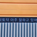 수봉공원 티스토리