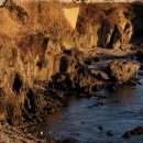 주상절리 관광안내소 | 포항 구룡포 주상절리 촛대바위 느낌의 일출