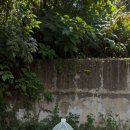 일주 태양광발전소 이미지