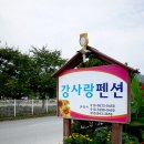 강사랑펜션 이미지