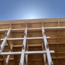 세븐일레븐양산희망점 | [What&#39;s In My Blog]2주차 : 오사카 만국박람회 후기(EXPO 2025)