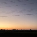 배목수집 이미지