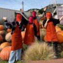 호인목장 이미지