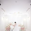 [본식 스냅] 소노펠리체 컨벤션 선셋리플웨딩 본식 스냅 후기