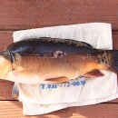 붕어의 신 이미지