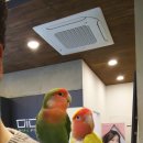 동래안경원 이미지