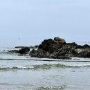 스테이 쉬온 이미지