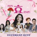 효 콘서트 이미지