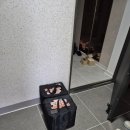 푸드박스 구미점 이미지