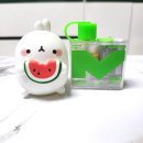 [막시무스코리아] 작지만 풍부해진 맛표현 베이프루션 한야 나노팟 (vapelustion hannya nano pot) 입...