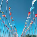 지산 최우수 태권도장 이미지