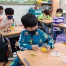 드론 과학(5~6학년) 이미지