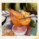 하나참치 이미지