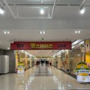 행복한 펫 살롱 | 국내최대 반려동물 복합문화거리 부산 애견동반 &#39;펫스테이션&#39;