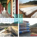 장용농장 이미지