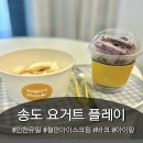 5995 | 인천송도디저트 맛집 [요거트플레이] 인천 유일 요거트 바크 아이랑 포장 후기