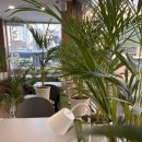 카페 뮬(CAFE MULE) 보문점