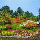 오성가든 이미지