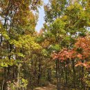 다사초등학교 건너 이미지